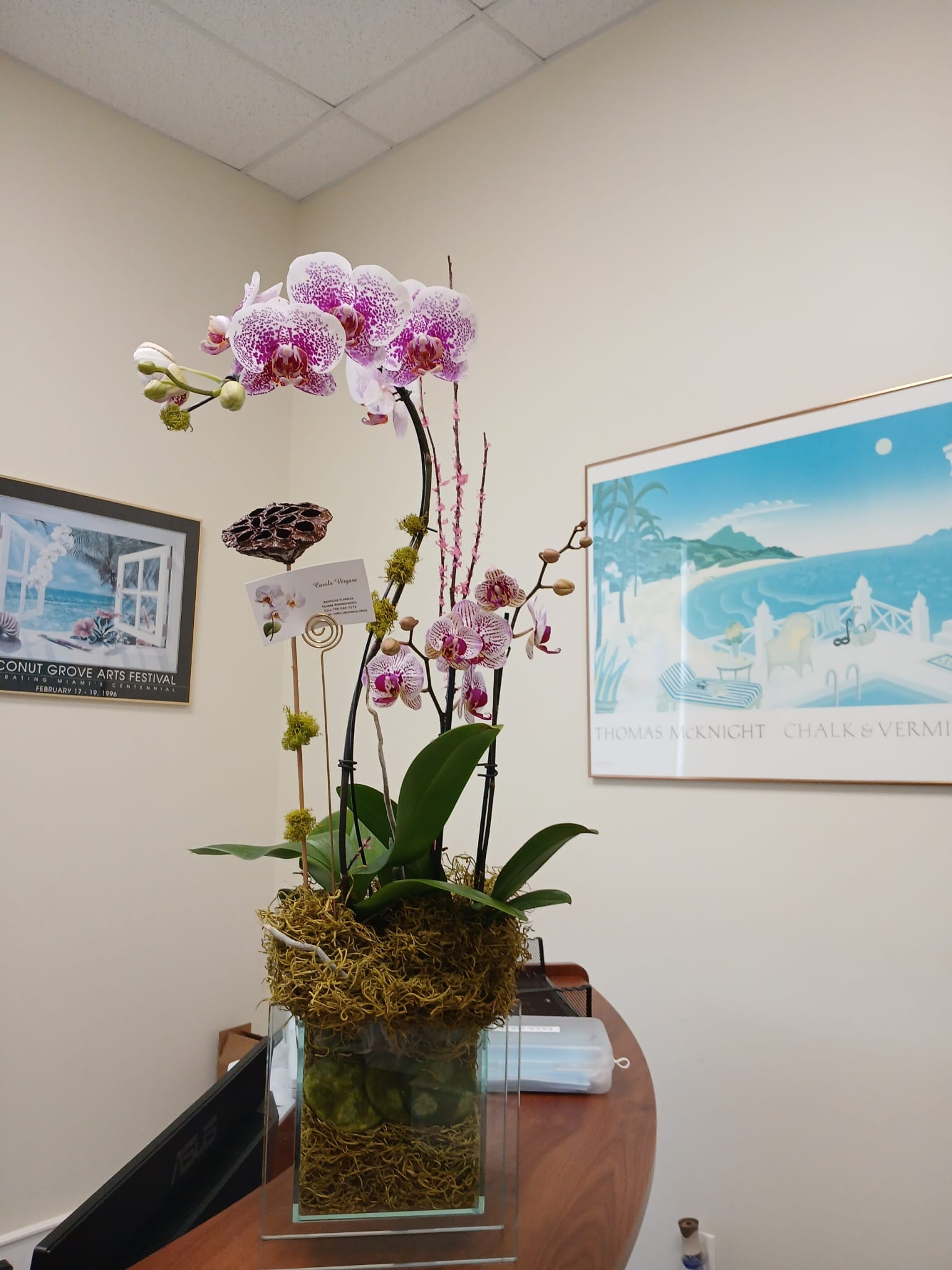 Magenta-spotted phalaenopsis in a glass vase, office desk