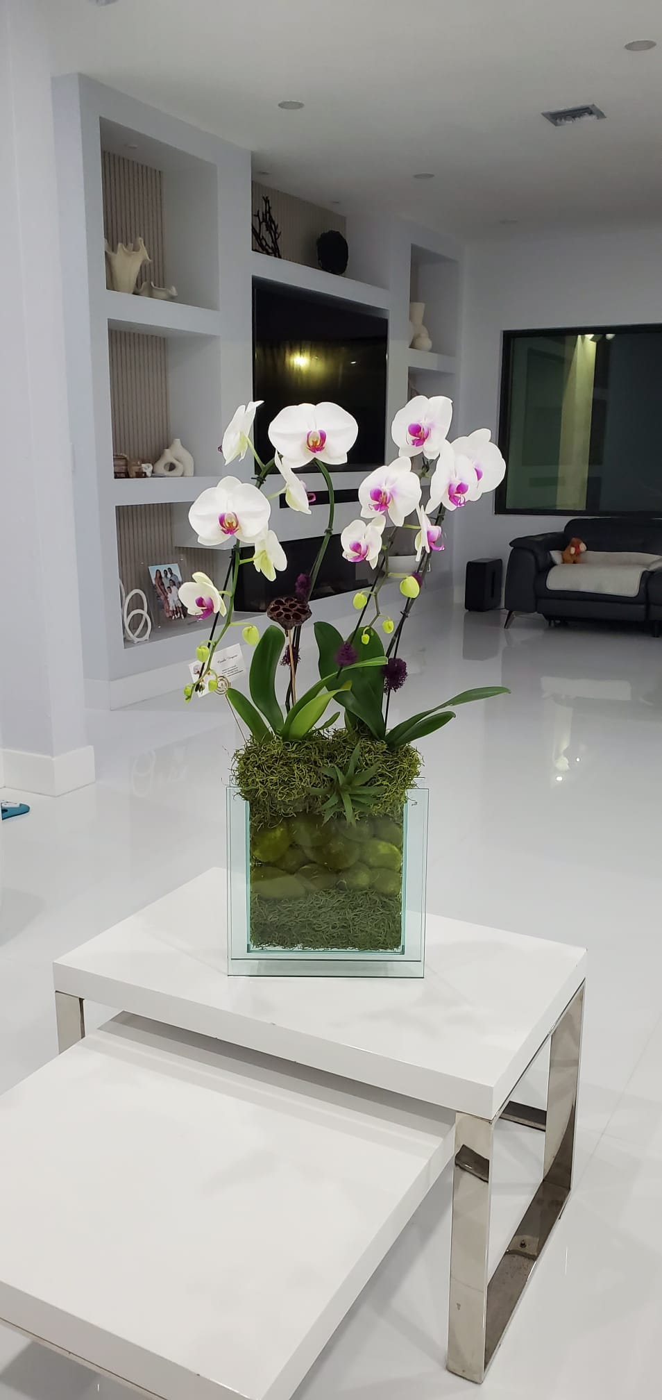 White and magenta phalaenopsis in a glass pebble cube, modern living room