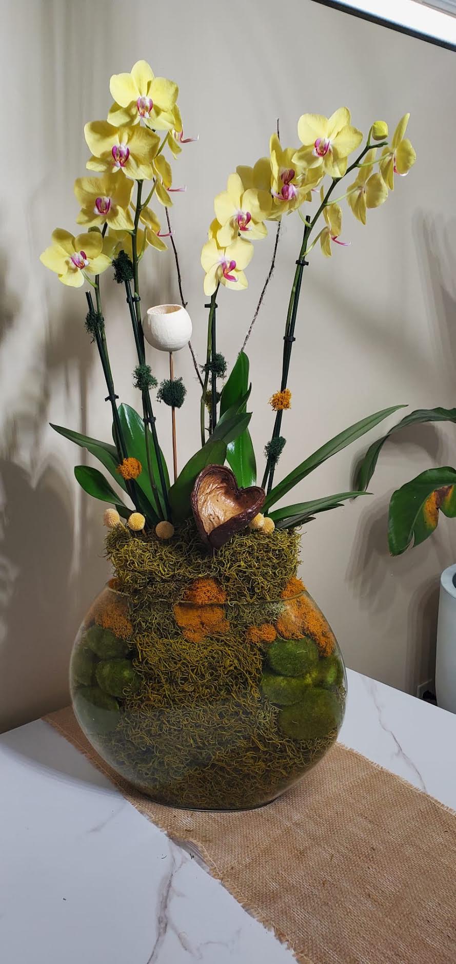 Yellow phalaenopsis in a round glass bowl, home interior